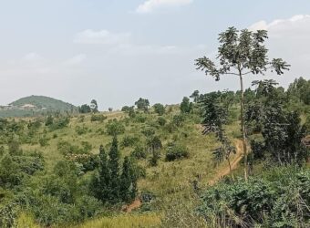 LAND FOR SALE AT UGANDA-KYABAHEESI