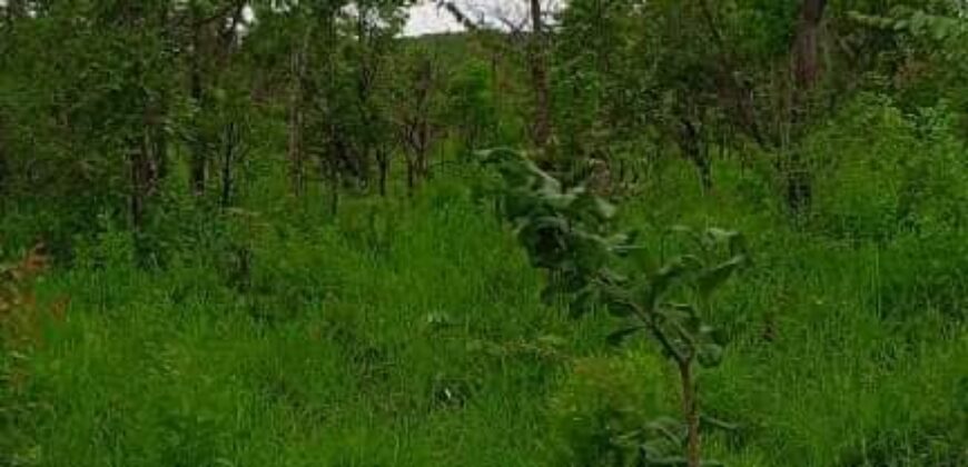 20 Hactares Virgin Land For Sale in Chifwema After Sinoma Cement Plant