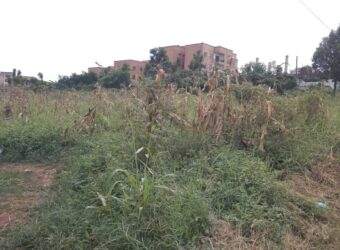 COMMERICIAL ACRE FOR SALE AT UGANDA-KOMAMBOGA