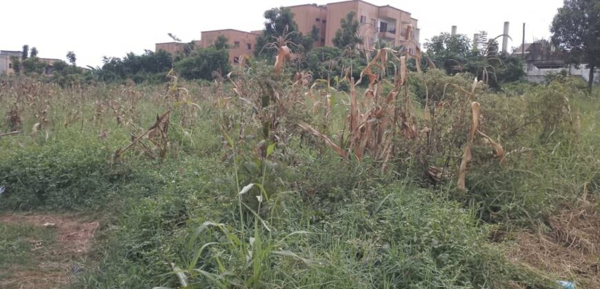 COMMERICIAL ACRE FOR SALE AT UGANDA-KOMAMBOGA