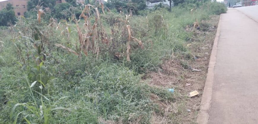 COMMERICIAL ACRE FOR SALE AT UGANDA-KOMAMBOGA