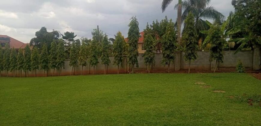 AN EXCELLENT 2 APARTMENT FOR RENT AT UGANDA-MUTUNGO