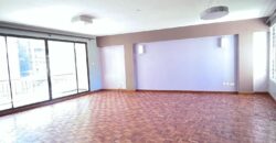 KILIMANI EXECUTIVE TWO BEDROOM PLUS A DSQ TO LET