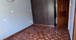 KILIMANI EXECUTIVE TWO BEDROOM PLUS A DSQ TO LET