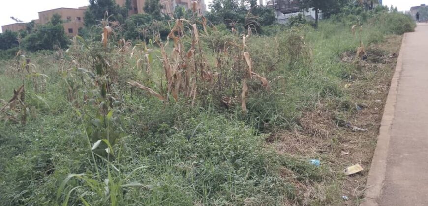 COMMERICIAL ACRE FOR SALE AT UGANDA-KOMAMBOGA