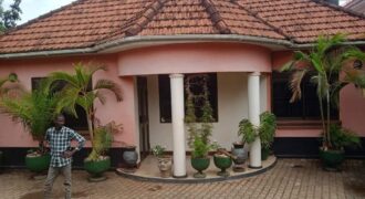 HOME FOR SALE AT UGANDA- BOMBO TOWN