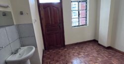 KILIMANI EXECUTIVE TWO BEDROOM PLUS A DSQ TO LET