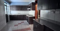 KILIMANI EXECUTIVE TWO BEDROOM PLUS A DSQ TO LET