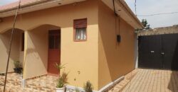 A BEAUTIFUL 8UNUTS HOUSE FOR RENT AT UGANDA