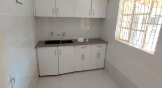 Karen, lovely 2 bedroom mini apartment to let