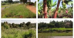 100acres of Land in Maragua (Murang’a county).