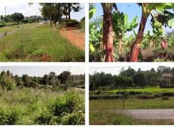 100acres of Land in Maragua (Murang’a county).