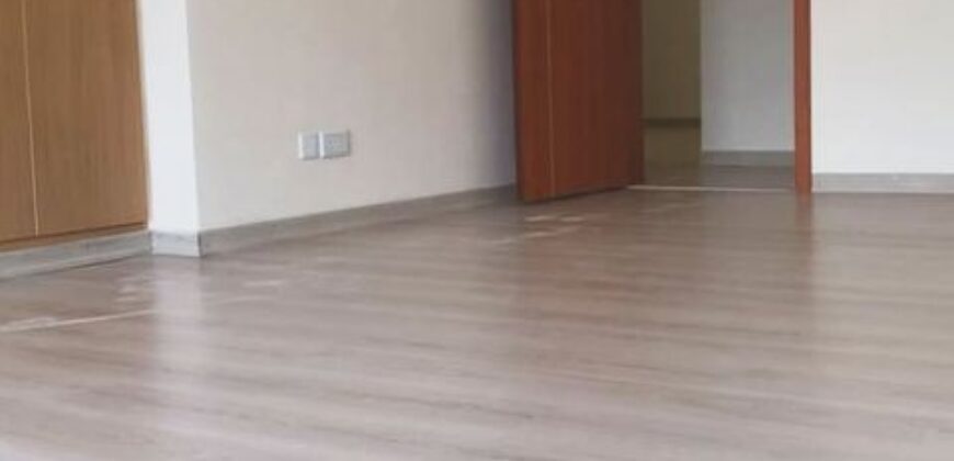 Executive three bedroom apartment plus a DSQ to let in Westlands.