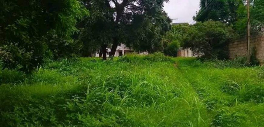 Property for sale Rhodes park near Chinese international school or polish cemetery along tarred road