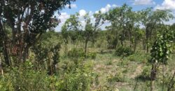 LAND FOR SALE IN KAPIRI MPOSHI ALONG NDOLA ROAD