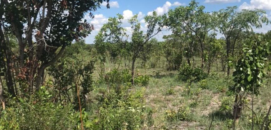 LAND FOR SALE IN KAPIRI MPOSHI ALONG NDOLA ROAD