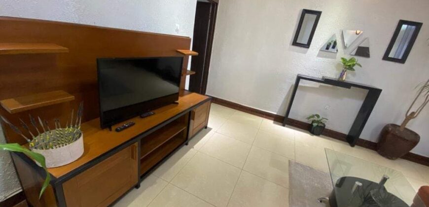 This is very nice full furnished apartment for rent in RWANDA gacuriro .