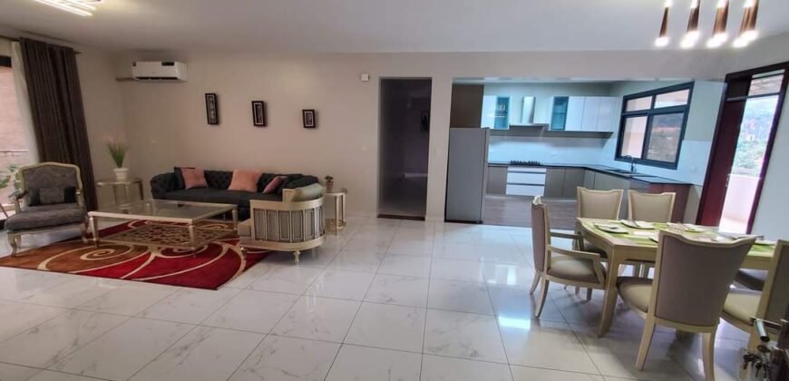 LUGOGO: FULLY FURNISHED APARTMENT.