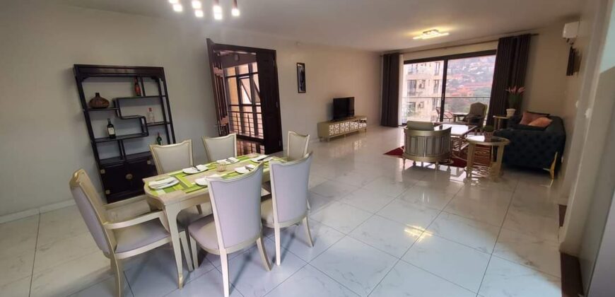 LUGOGO: FULLY FURNISHED APARTMENT.