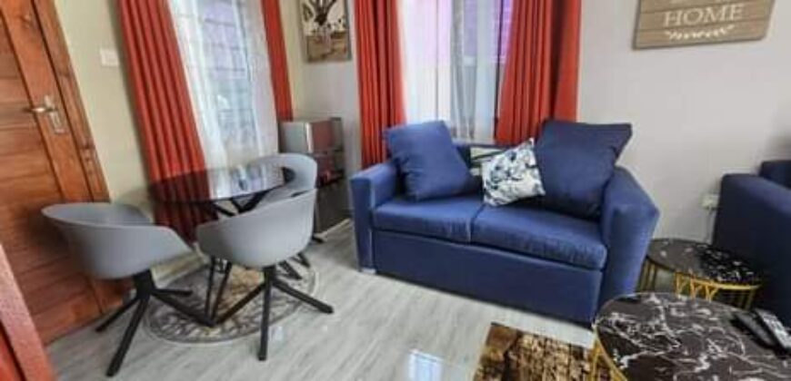 Neat and beautiful spacious 1 Bedroom Fully Furnished Apartments 800 Zambian kwacha/ per day.