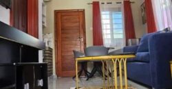 Neat and beautiful spacious 1 Bedroom Fully Furnished Apartments 800 Zambian kwacha/ per day.