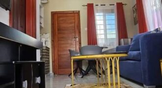 Neat and beautiful spacious 1 Bedroom Fully Furnished Apartments 800 Zambian kwacha/ per day.