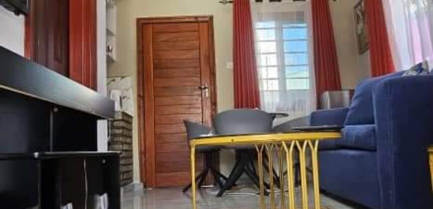 Neat and beautiful spacious 1 Bedroom Fully Furnished Apartments 800 Zambian kwacha/ per day.