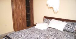 ?Are you looking for a nice fully- furnished apartment for rent in KIBAGABAGA-KIMIRONKO- KIGALI? Look at this one.