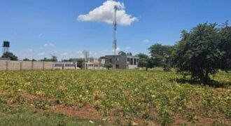 LAND FOR SALE IN IBEX HILL 4000000 Zambian kwacha