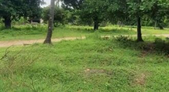 FIVE PRIME PLOTS AVAILABLE FOR SALE IN DAR ES SALAAM KIGAMBONI TANZANIA