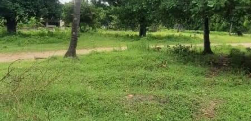 FIVE PRIME PLOTS AVAILABLE FOR SALE IN DAR ES SALAAM KIGAMBONI TANZANIA