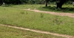 FIVE PRIME PLOTS AVAILABLE FOR SALE IN DAR ES SALAAM KIGAMBONI TANZANIA