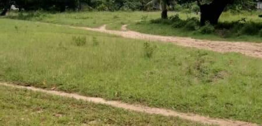 FIVE PRIME PLOTS AVAILABLE FOR SALE IN DAR ES SALAAM KIGAMBONI TANZANIA