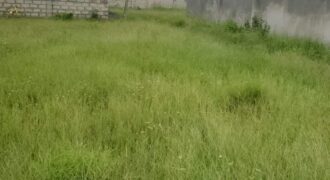 PLOT FOR SALE IN DAR ES SALAAM KIGAMBONI, KIBUGUMO.