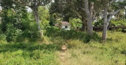 Beach PLOT FOR SALE IN DAR ES SALAAM, MJIMWEMA, KIGAMBONI.