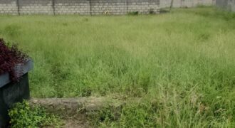 PLOT FOR SALE IN DAR ES SALAAM KIGAMBONI, MJIMWEMA KIBUGUMO.