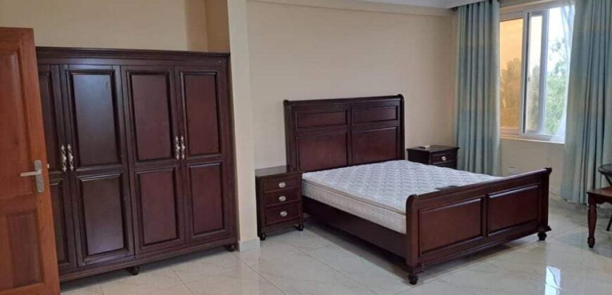 Fully Furnished 3 Bedroom Apartment Available For Rent At Mikocheni 