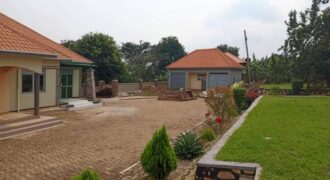 *?HOUSE ON QUICK SALE IN UGANDA Ntinde