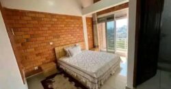 Furnished apartment for rent in RWANDA Remera