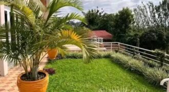 Furnished apartment for rent in RWANDA Remera