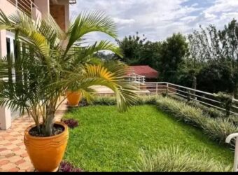 Furnished apartment for rent in RWANDA Remera