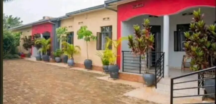 Furnished apartment for rent in RWANDA -gisozi