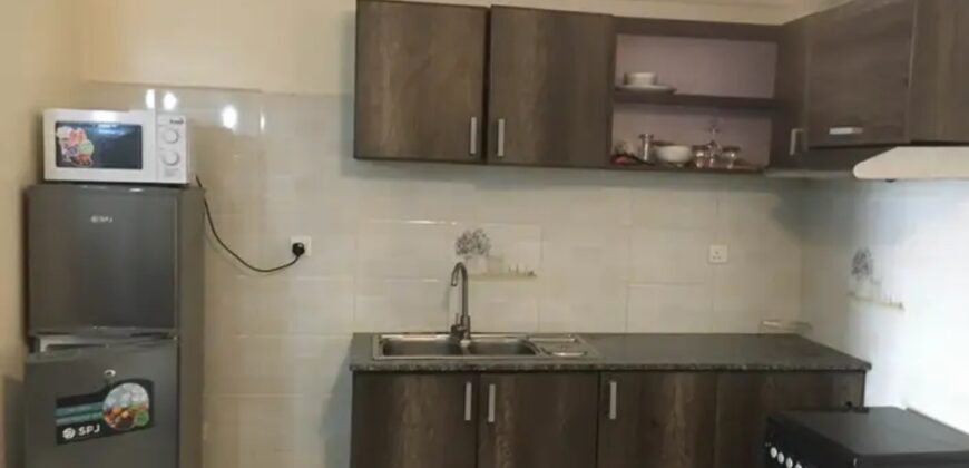 Fully furnished apartment for rent in RWANDA kagugu