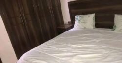 Fully furnished apartment for rent in RWANDA Gacuriro