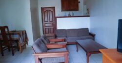 Fully furnished apartment for rent in RWANDA remera