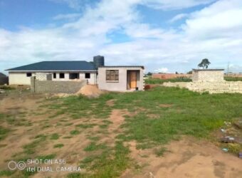Harare South Southly Park resident stands for sale at ZIMBABWE