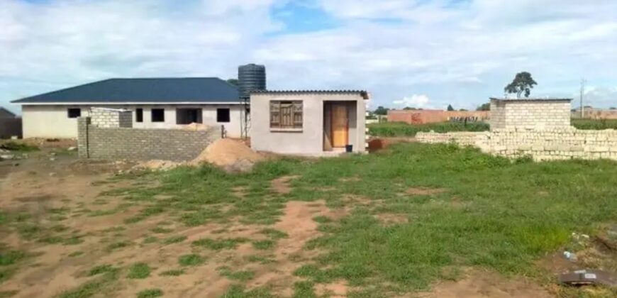 Harare South Southly Park resident stands for sale at ZIMBABWE