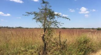 10 Acres of land for sale at ZIMBABWE