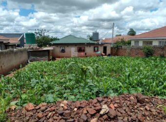 A neatly built up Area around Kuwadzana round about in ZIMBABWE