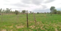 A beautiful land for sale at ZIMBABWE